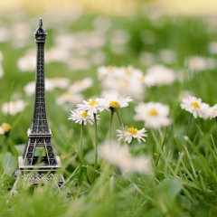 Dina Tsoy, 25.05.1986, Алматы