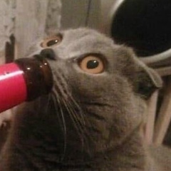 Андрей Земенков, 25.09, Чайковский