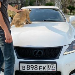 Cherim Ligidov, 12.10, Нальчик