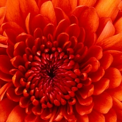 Катя Гончаркина, 08.10.1989, Москва