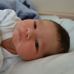 Леонид Баев, Санкт-Петербург