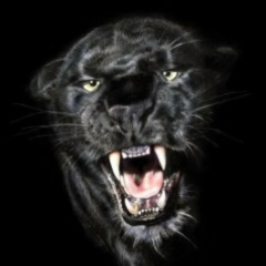 Body Gun, Алматы