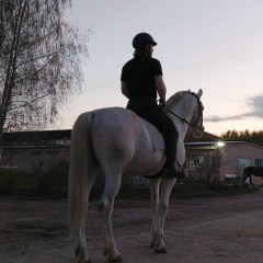 Николай Добрыдин, 22.05.1986, Москва
