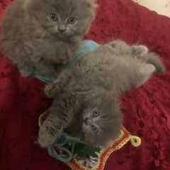 Настя Борисова, 13.01