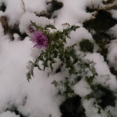 Сергей Дедю, 30.06.1970
