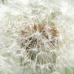 Илья Боровой, Челябинск