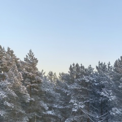Екатерина Гусева, 28.03, Санкт-Петербург