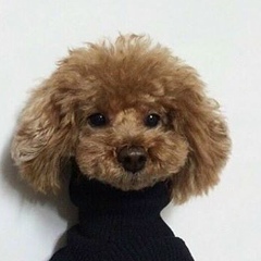 Ерболат Жуман, 24.04, Тараз