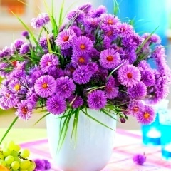 Мария Н, Санкт-Петербург