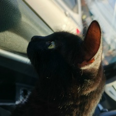 Дима Антонов, 26.04.1998, Самара