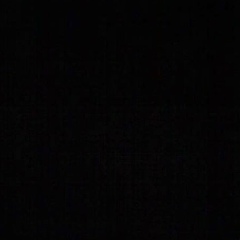 Василь Шкриба, Львов