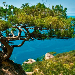 Фатеева Татьяна, Томск