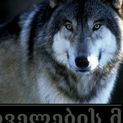 Burdula Burduli, Тбилиси