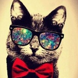 Александр Александров, 02.03.1983, Киев