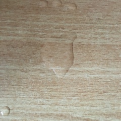 Елена Ласкова, 25.10, Славянск