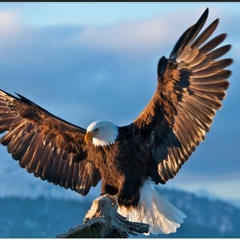 Вильдар Якупов, Казань