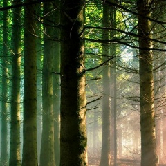 Вадим Агабеков, 17.11.1991, Пятигорск