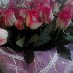 Zina Matcei, 20.12, Алматы