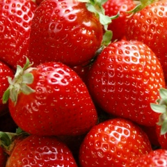 Татьяна Северин, 27.08.1980, Черноморск / Ильичевск