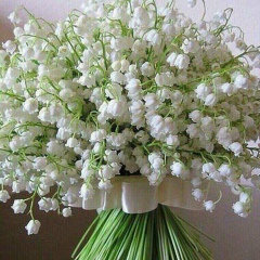 Анастасия Руденко, 26.06, Запорожье