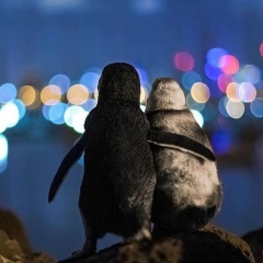 Настя Константинова, 19.01