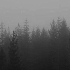 Коля Макаров