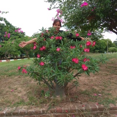 Pyae Pyae, 31.12.1994