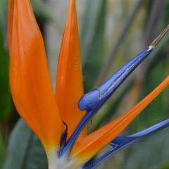 Анна Пламадяла, 13.07.1975, Москва