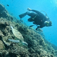 Maksim Lavrin, 21.08