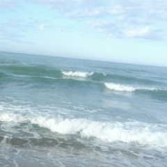 Ольга Студенцова, Боровичи