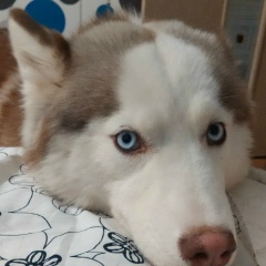 Паша Макаров, 01.04, Серпухов