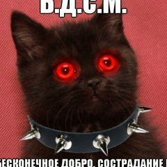 Андрей Королев, Новороссийск