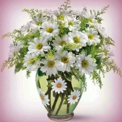 Hnin-Sat Cho, 22.01.1984