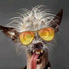 Дмитрий Назаренко, 25.03.1988, Челябинск