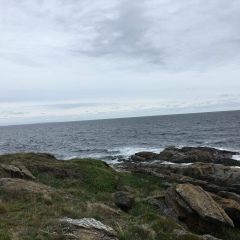 Сергей Сергеев, 31.12