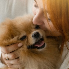 Olga Pomeranian, 10.08