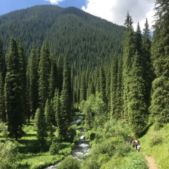 Вадим Марков, 07.06.1982, Одесса