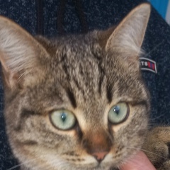 Валентина Остапенко, 24.07.1951, Белгород