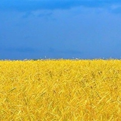 Ольга Панченко, 13.10.1983, Киев