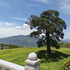 Антон Зарутин, Москва