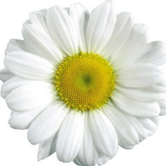 Наталья Шмыгова, Казань