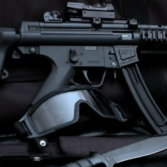 Cheslav Novikov, Bandung