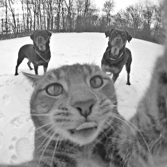 Denis Pakhomov, 21.09, Санкт-Петербург