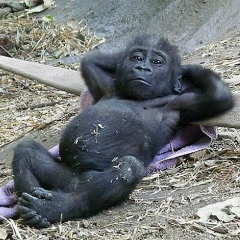 Саша Картошкин, 01.01.2000, Санкт-Петербург