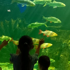 Жылдыз Умарова, 19.10.1988, Москва