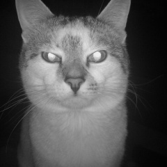 Денис Карманов, 17.01, Москва