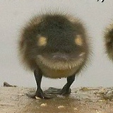 Никита Филиппов, Уфа