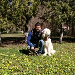 Сергей Саркисян, 04.05.1989, Ростов-на-Дону