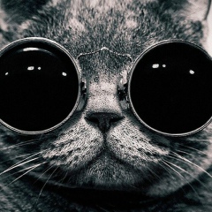 Роман Федоров, Санкт-Петербург