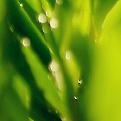 Игорь Кошевой, 30.08.1990, Ставрополь